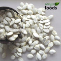 Wholesale Edible Pumpkinseeds In Shell, Large Size